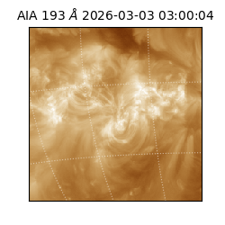 saia - 2026-03-03T03:00:04.846000