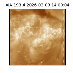 saia - 2026-03-03T14:00:04.846000