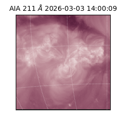 saia - 2026-03-03T14:00:09.631000