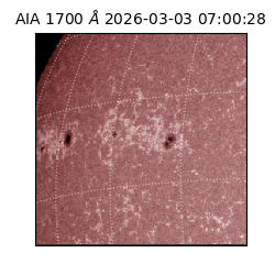 saia - 2026-03-03T07:00:28.709000