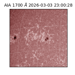 saia - 2026-03-03T23:00:28.722000