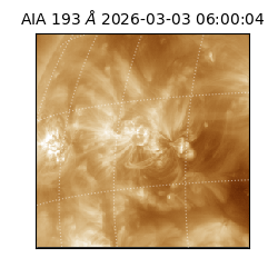 saia - 2026-03-03T06:00:04.843000