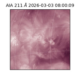 saia - 2026-03-03T08:00:09.625000