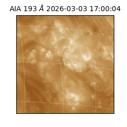 saia - 2026-03-03T17:00:04.844000