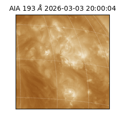 saia - 2026-03-03T20:00:04.835000