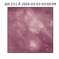 saia - 2026-03-03T03:00:09.631000