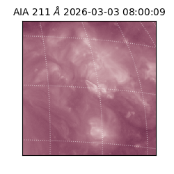 saia - 2026-03-03T08:00:09.625000