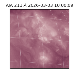 saia - 2026-03-03T10:00:09.618000