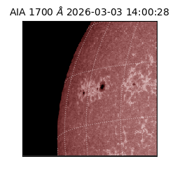 saia - 2026-03-03T14:00:28.717000