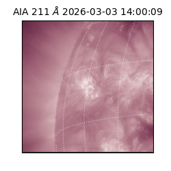 saia - 2026-03-03T14:00:09.631000