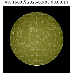saia - 2026-03-03T08:00:14.131000
