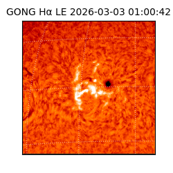 gong - 2026-03-03T01:00:42