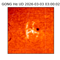 gong - 2026-03-03T03:00:02