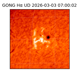 gong - 2026-03-03T07:00:02