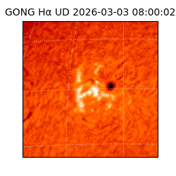 gong - 2026-03-03T08:00:02