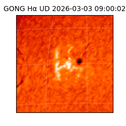 gong - 2026-03-03T09:00:02