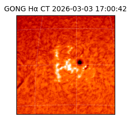 gong - 2026-03-03T17:00:42