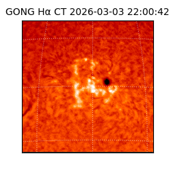 gong - 2026-03-03T22:00:42