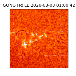 gong - 2026-03-03T01:00:42