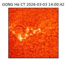 gong - 2026-03-03T14:00:42