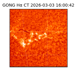 gong - 2026-03-03T16:00:42