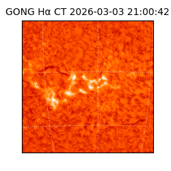 gong - 2026-03-03T21:00:42