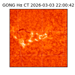 gong - 2026-03-03T22:00:42