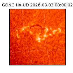 gong - 2026-03-03T08:00:02