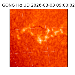 gong - 2026-03-03T09:00:02