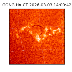 gong - 2026-03-03T14:00:42