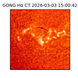 gong - 2026-03-03T15:00:42