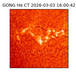 gong - 2026-03-03T16:00:42