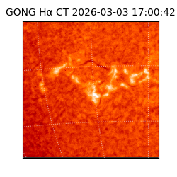 gong - 2026-03-03T17:00:42