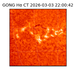 gong - 2026-03-03T22:00:42