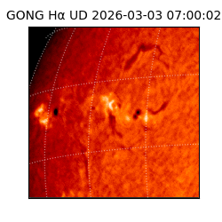 gong - 2026-03-03T07:00:02