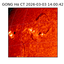 gong - 2026-03-03T14:00:42