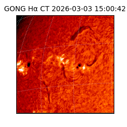 gong - 2026-03-03T15:00:42