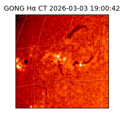 gong - 2026-03-03T19:00:42