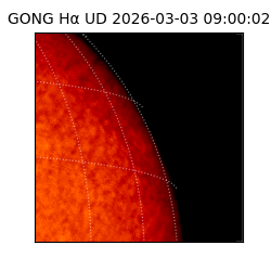 gong - 2026-03-03T09:00:02