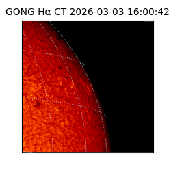 gong - 2026-03-03T16:00:42