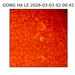 gong - 2026-03-03T02:00:42