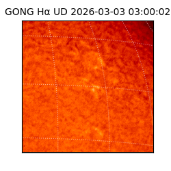 gong - 2026-03-03T03:00:02