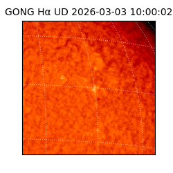 gong - 2026-03-03T10:00:02