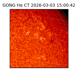 gong - 2026-03-03T15:00:42