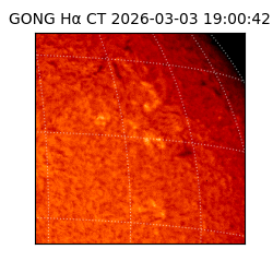 gong - 2026-03-03T19:00:42