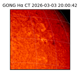 gong - 2026-03-03T20:00:42