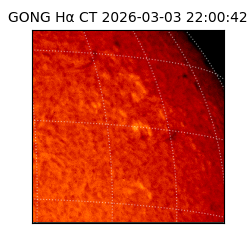gong - 2026-03-03T22:00:42