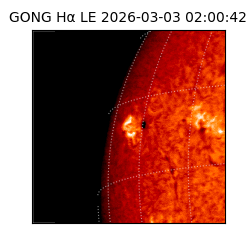 gong - 2026-03-03T02:00:42