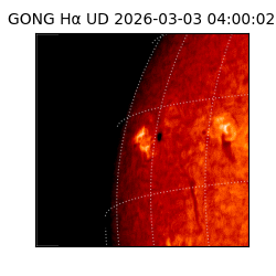 gong - 2026-03-03T04:00:02