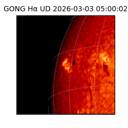 gong - 2026-03-03T05:00:02